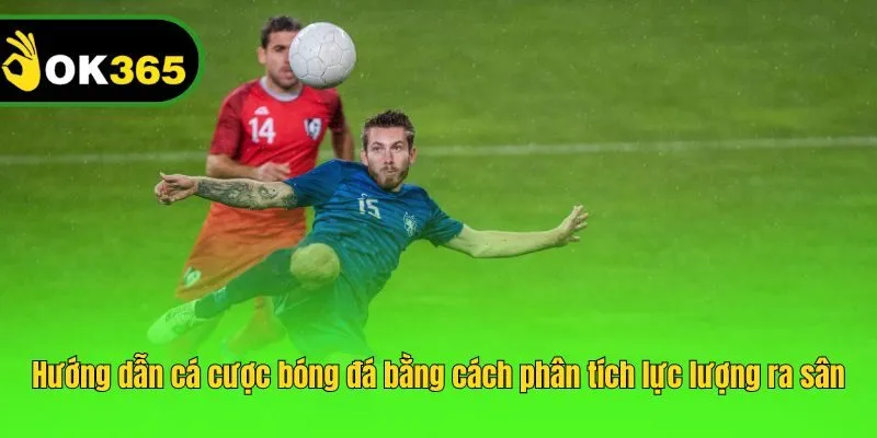 Hướng dẫn cá cược bóng đá bằng cách phân tích lực lượng ra sân