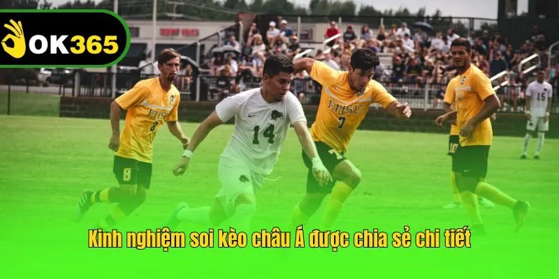 Kinh nghiệm soi kèo châu Á được chia sẻ chi tiết