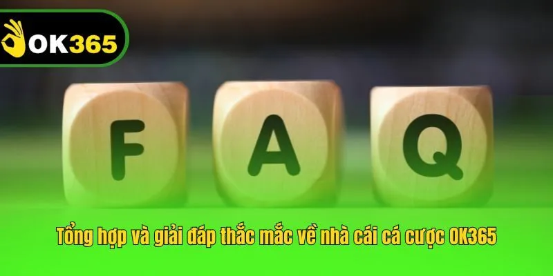 Tổng hợp và giải đáp thắc mắc về nhà cái cá cược OK365