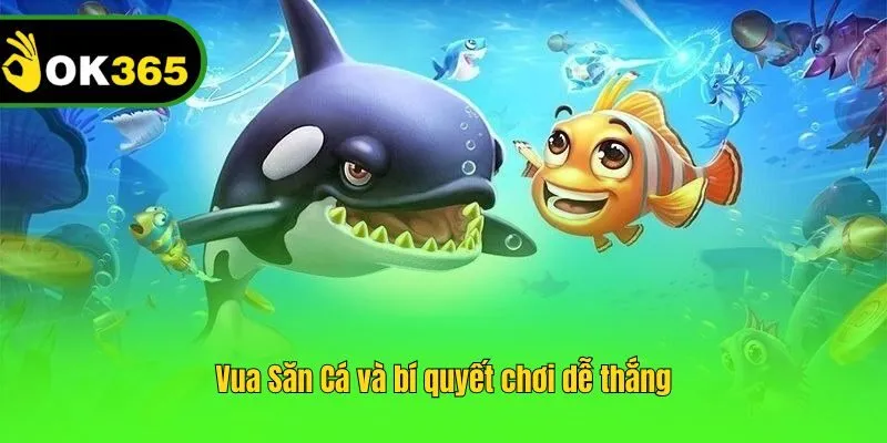 Vua Săn Cá và bí quyết chơi dễ thắng